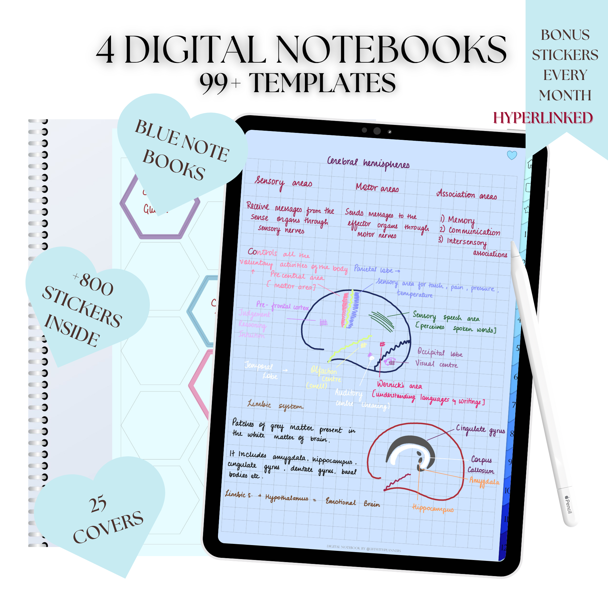 Blue notebook bundle