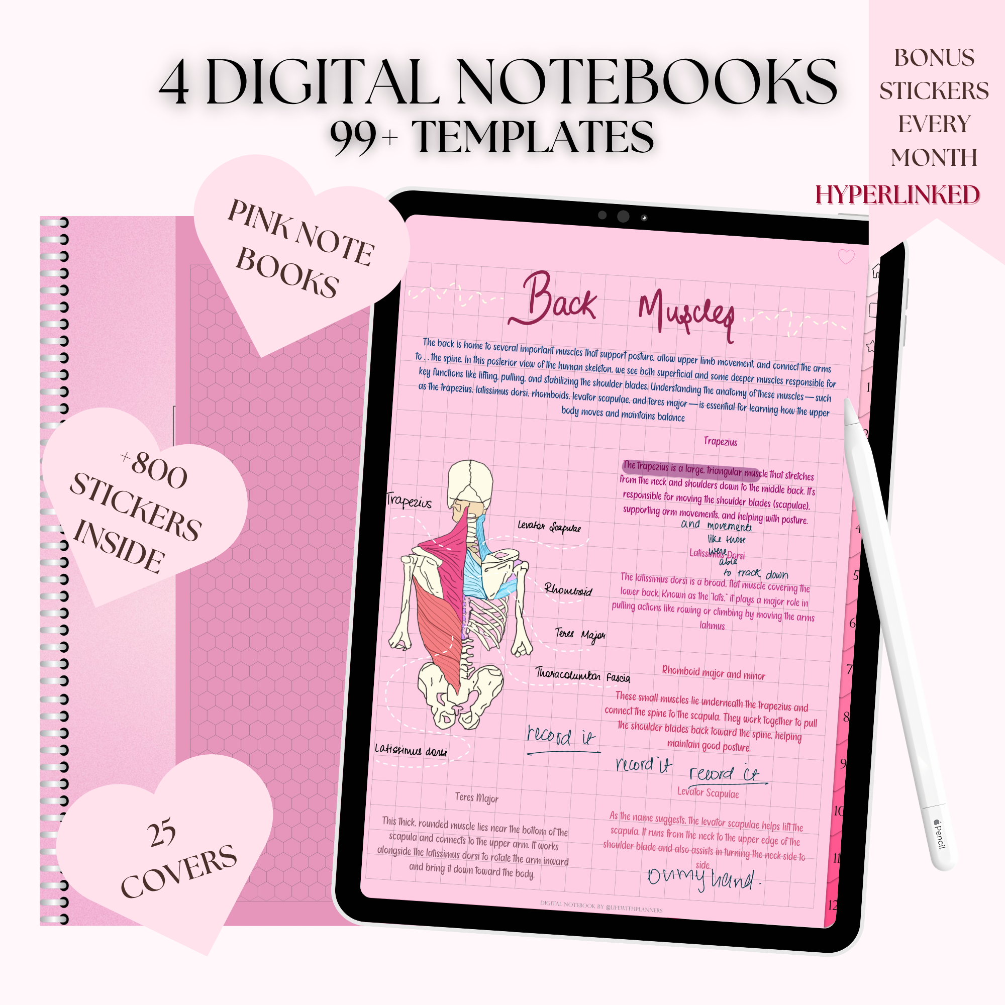 Pink notebook bundle